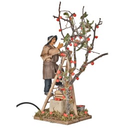 Moving apple picker 15 cm