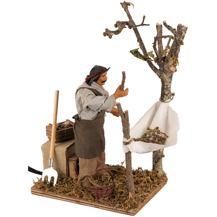 Man collecting olives in motion series 15 cm