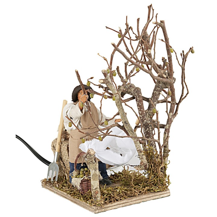Raccoglitore di olive in movimento 12 cm