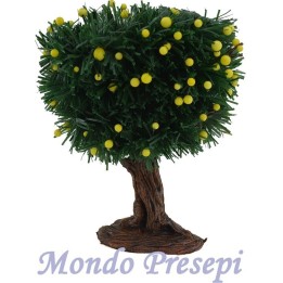 Planta cm 14 limones