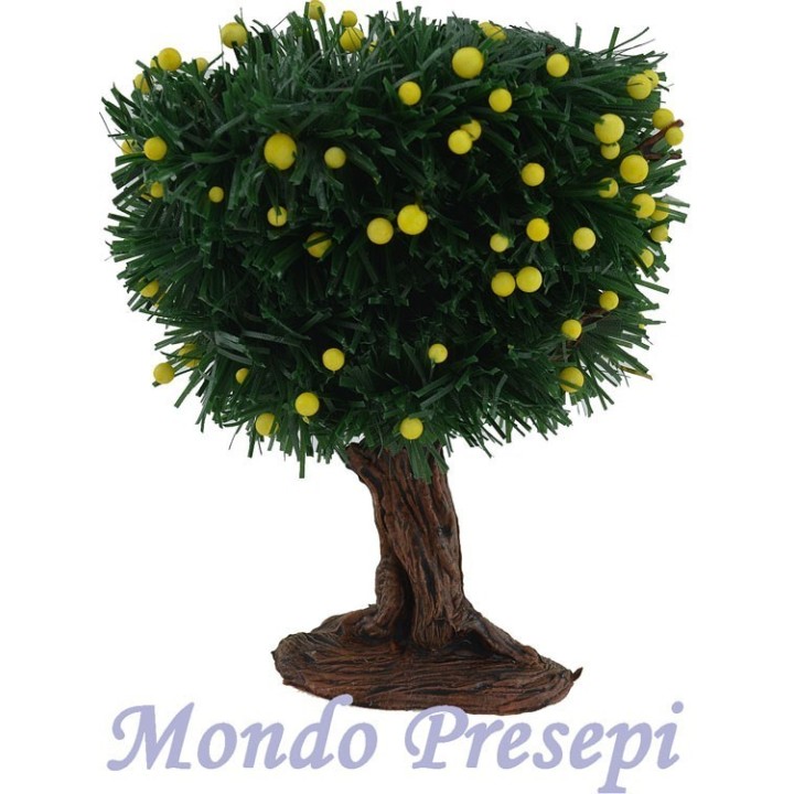 Planta cm 14 limones