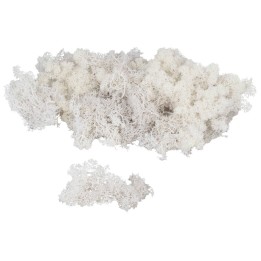 Liquen blanco disponible en bolsas de: