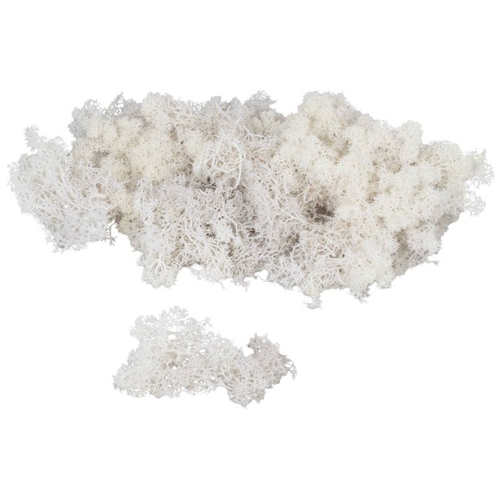 Liquen blanco disponible en bolsas de: