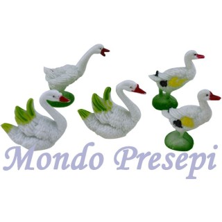 Establece 5 animales, gansos y cisnes.