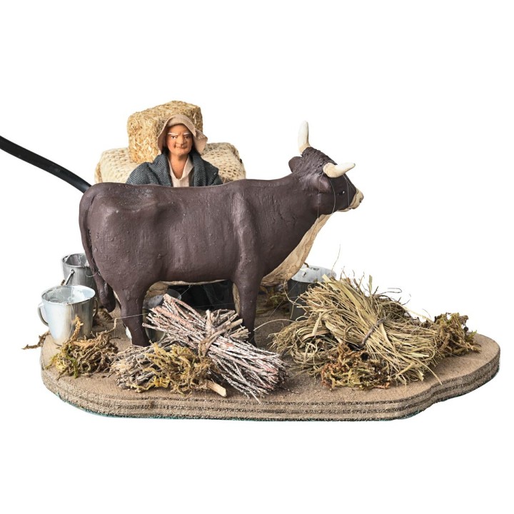 Man milking cow series 10 cm in motion