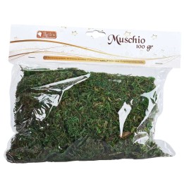 Musgo siempreverde en bolsa de 100 gr
