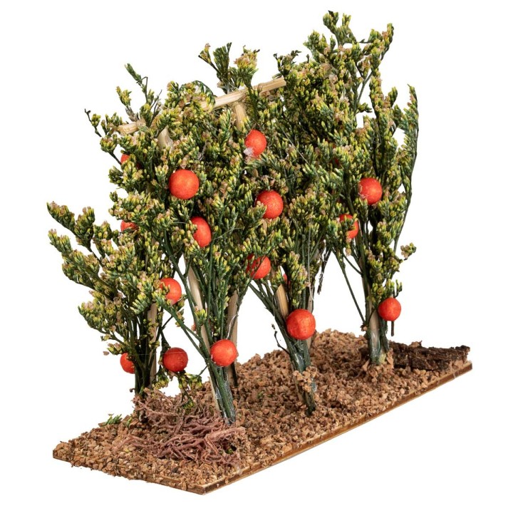 Tomato trees with wooden support cm 12x5x11 h
