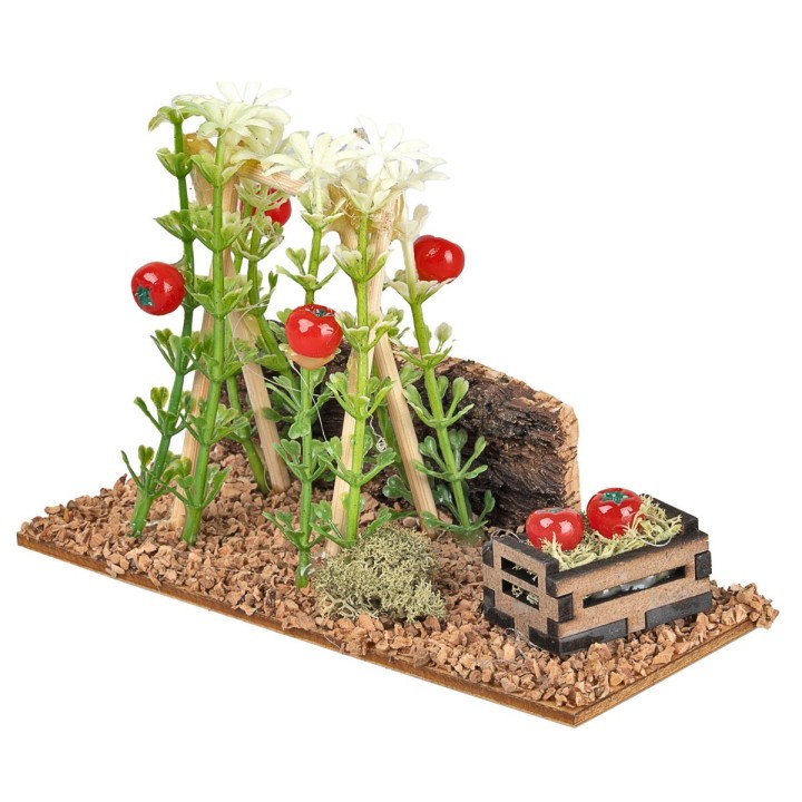 Tomato plants supported by a trellis cm 12x5x8.5 h