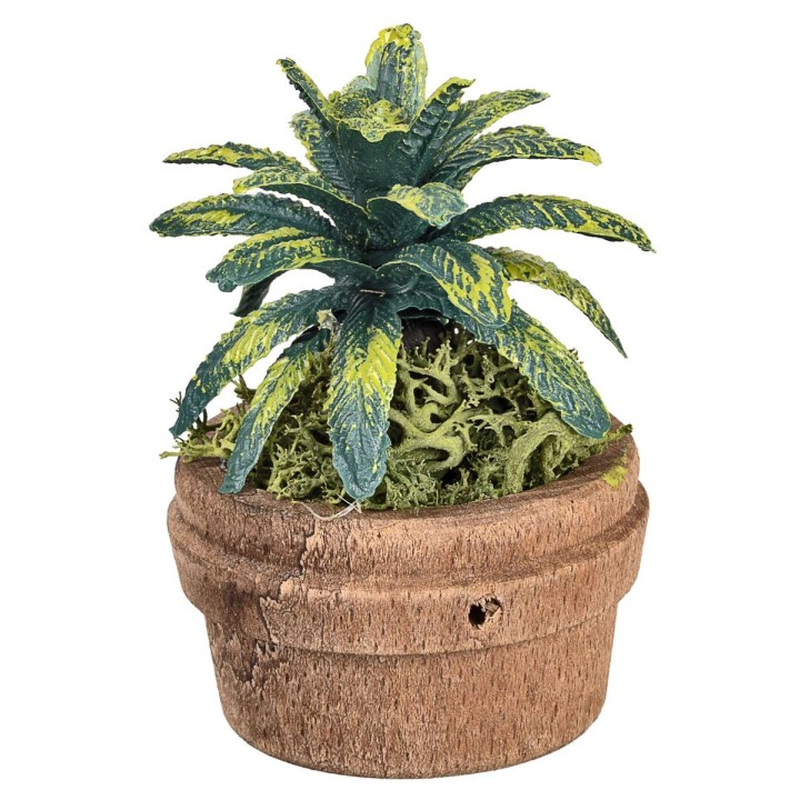 Tropical potted plant Ø4 x 6 h