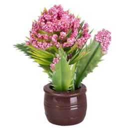 Plant with dark pink flowers in brown pot Ø1.5x5 cm