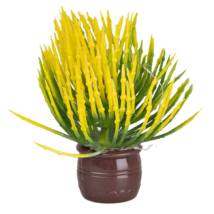 Pianta con foglie e fiori gialli in vaso marrone cm Ø1,5x5 h