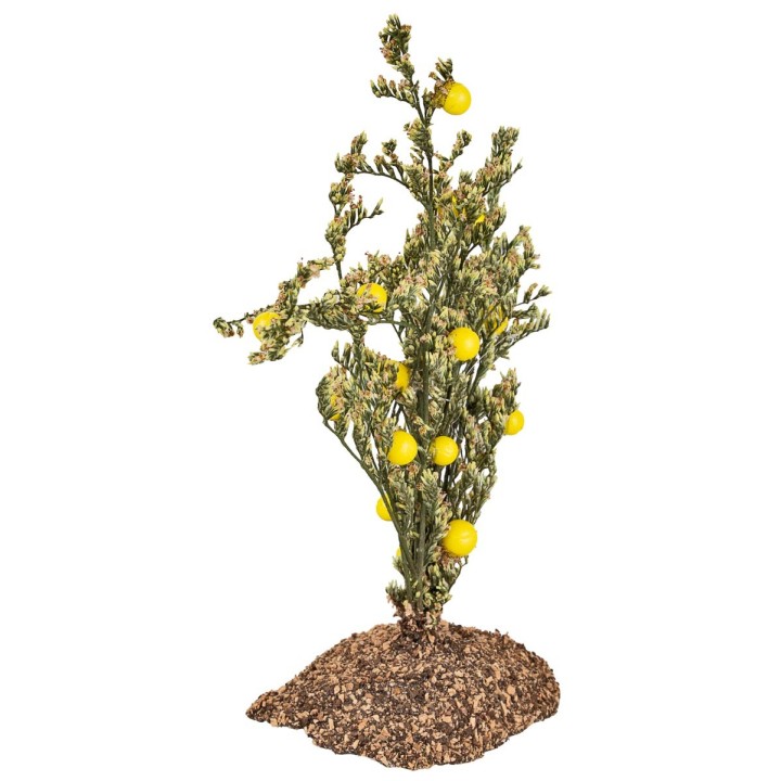Planta de limones en pvc sobre base efecto tierra – H 13,5 cm