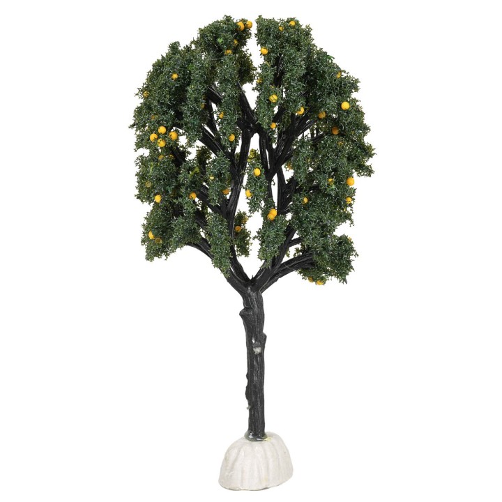 Árbol de naranjas altura 15 cm
