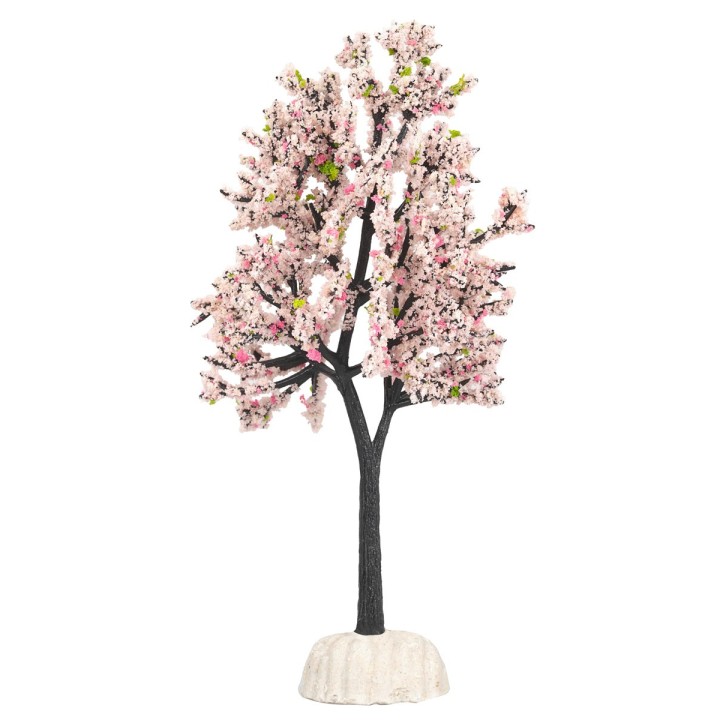 Almond tree height 15 cm