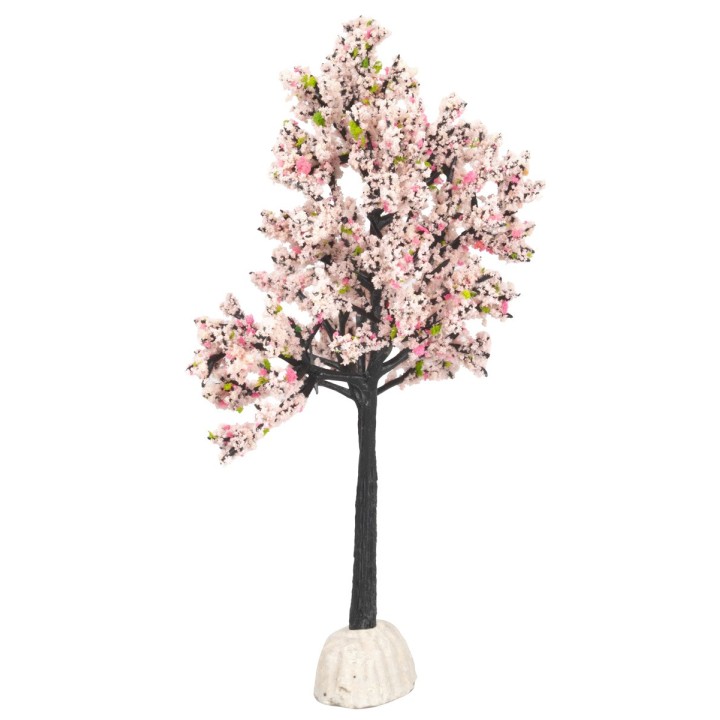 Almond tree height 15 cm