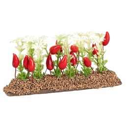 Vegetable garden of peppers 6 cm