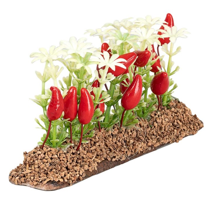 Orto di peperoni 6 cm