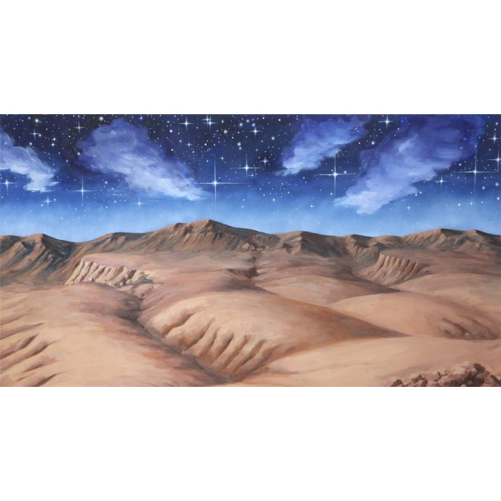 copia de Fondo con paisaje desértico 70x100 cm