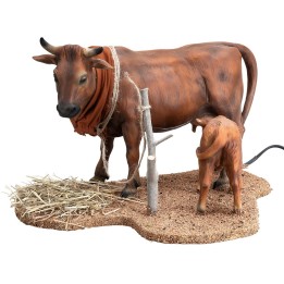 Vaca con ternero serie 30 cm en movimiento