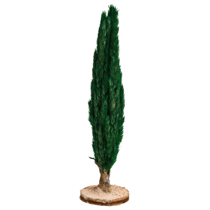 Cypress tree h 15 cm