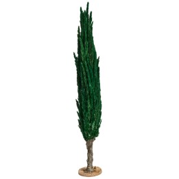 Albero di cipresso h 30 cm