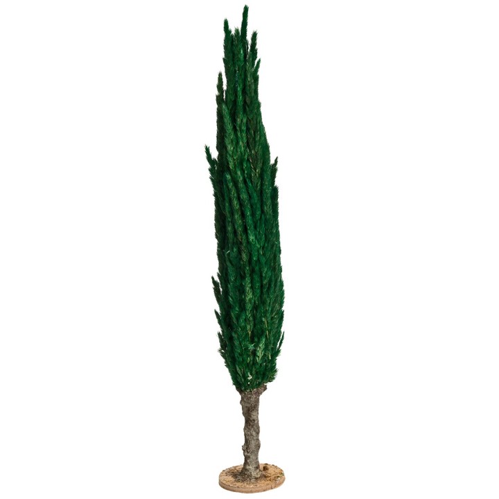 Árbol de ciprés h 30 cm