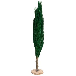 Cypress tree h 35 cm