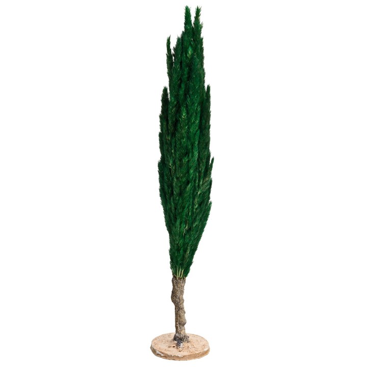 Albero di cipresso h 35 cm