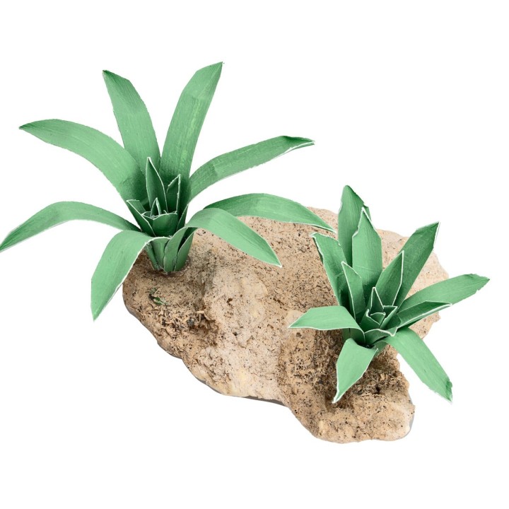 Group of two Moldable Agaves 4 cm