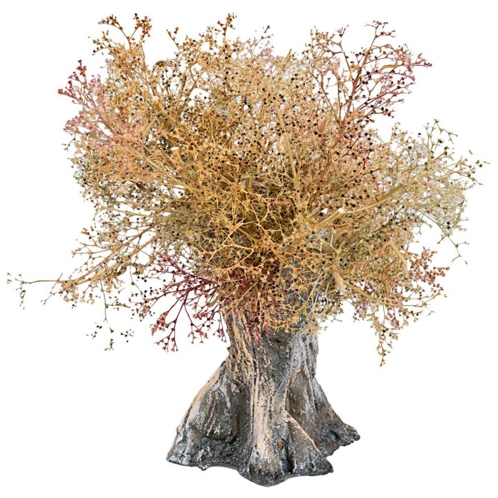 Árbol de olivo h 13 cm