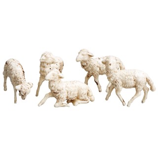 Set 5 ovejas en pvc serie Euromarchi para estatuas de 10 cm