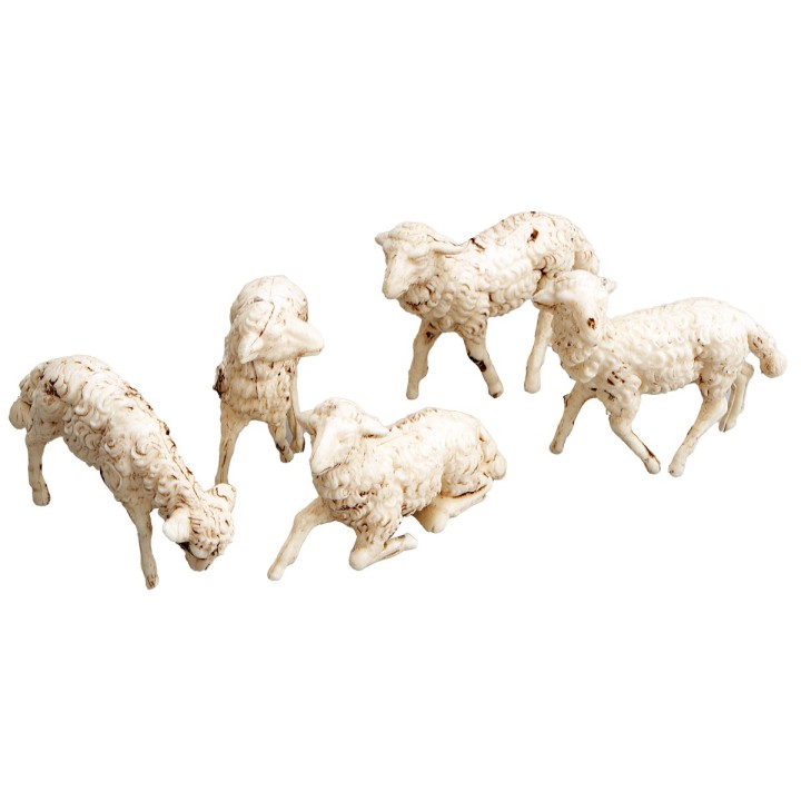 Set 5 ovejas en pvc serie Euromarchi para estatuas de 10 cm