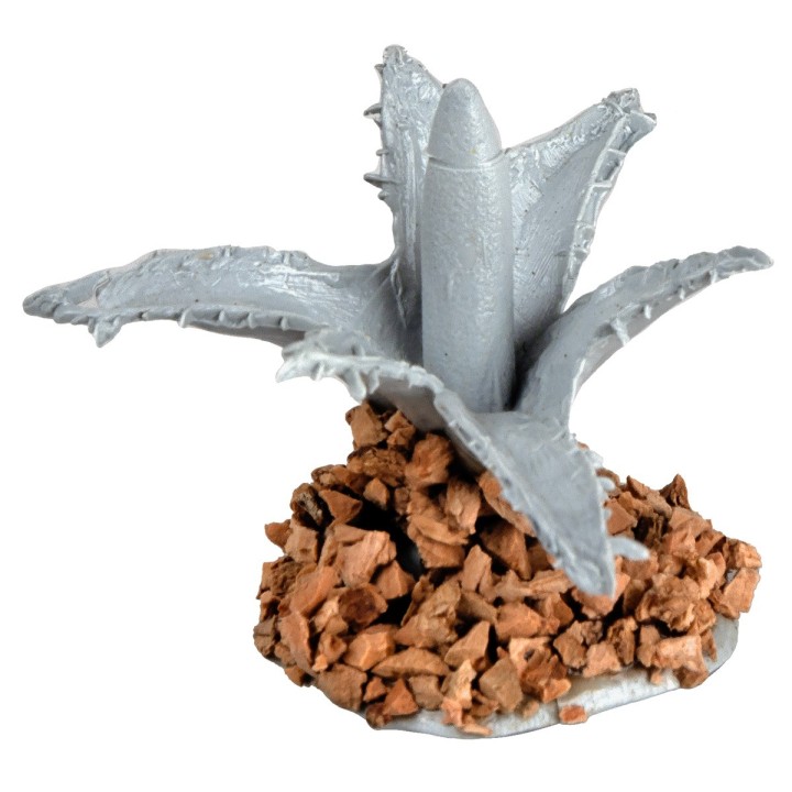 Small agave 3 cm