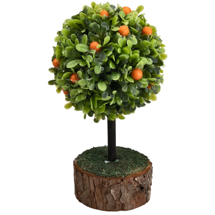 Pianta di arance con base h 12 cm