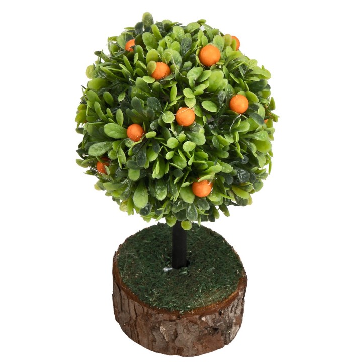 Orange tree with base height 12 cm