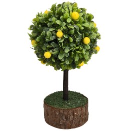 Lemon plant h 12 cm