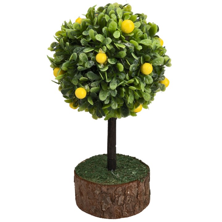 Planta de limones h 12 cm