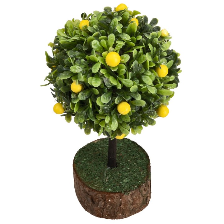 Lemon plant h 12 cm