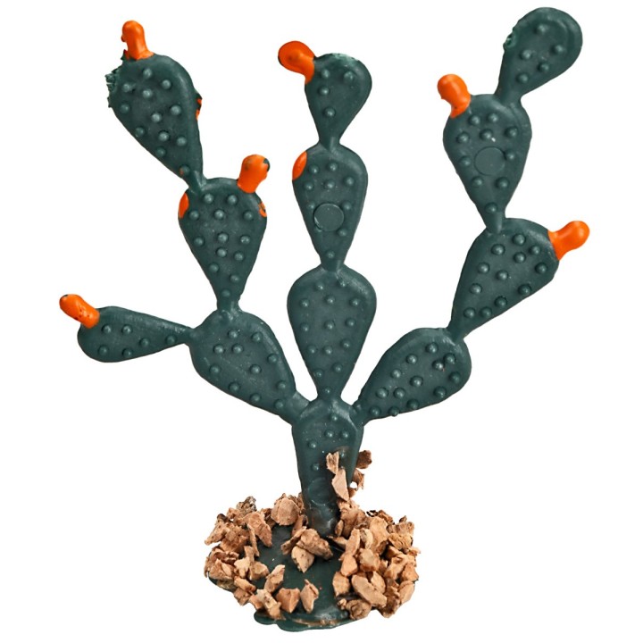 Prickly Pear 6 cm