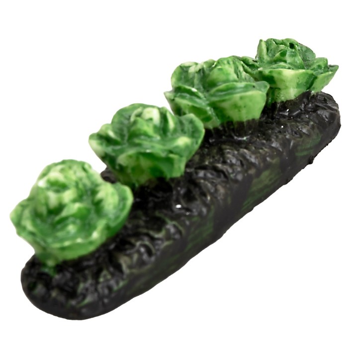 Little garden with lettuce