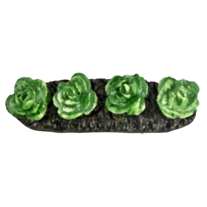 Little garden with lettuce
