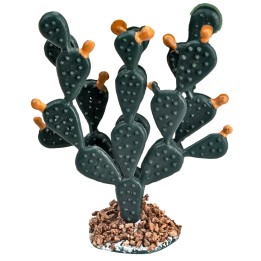 Higo chumbo frondoso de 6,2 cm