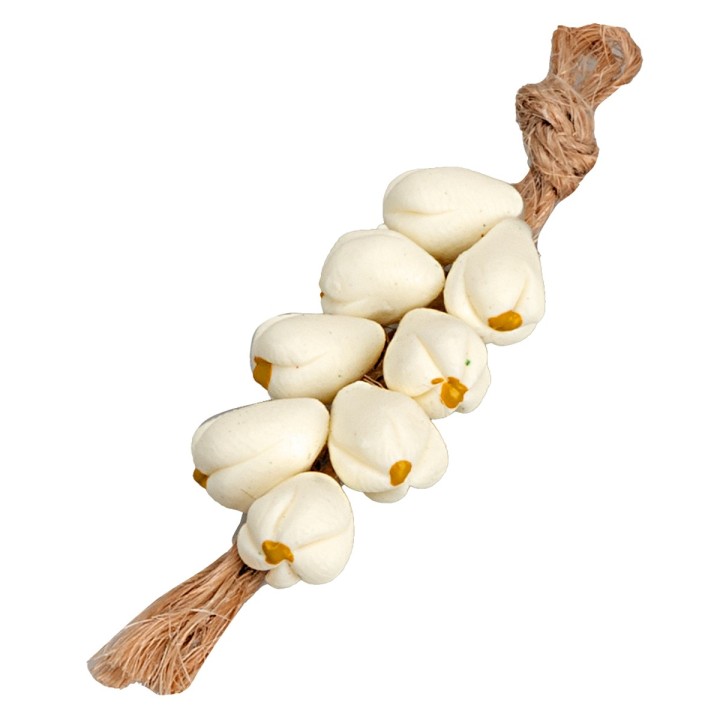 Garlic bunch 5 cm