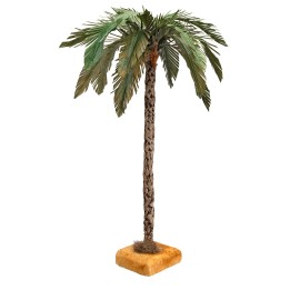30 cm Palm