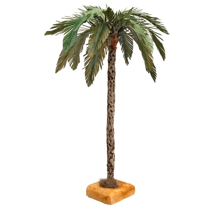 30 cm Palm