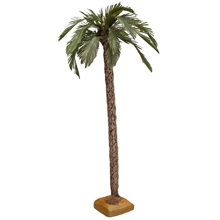 Palma 38-40 cm