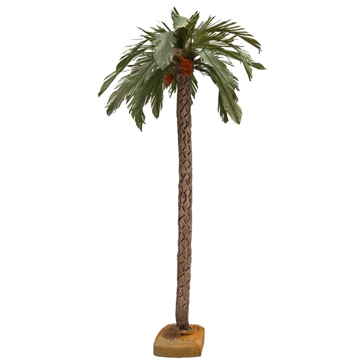 38-40 cm Palm