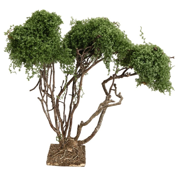 Branched tree for nativity scene h 21.5 cm