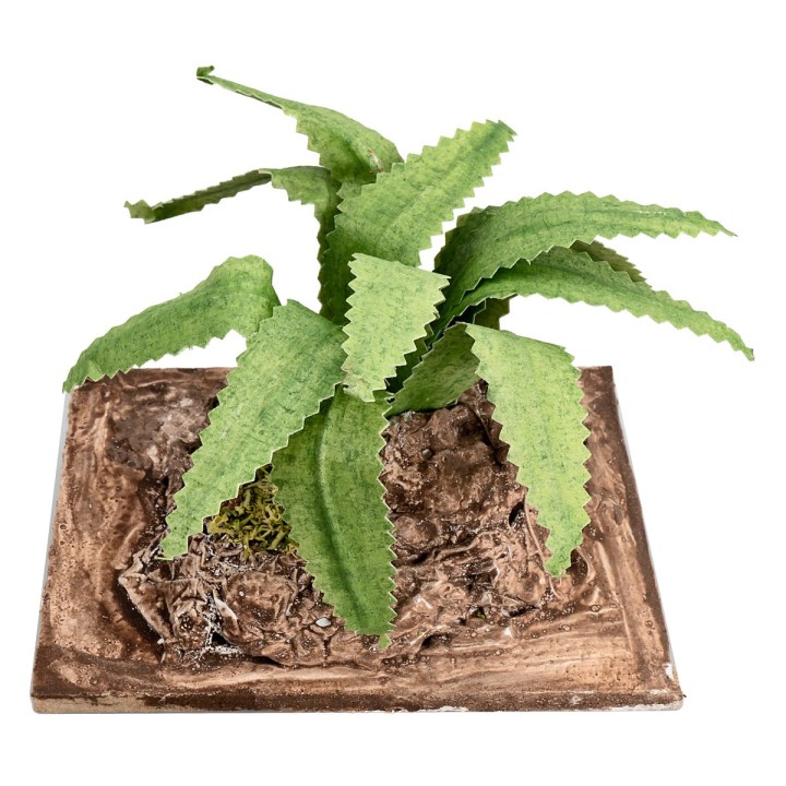 Agave moldeable h 6 cm