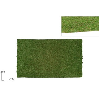 Natural effect moss carpet 100x60 cm